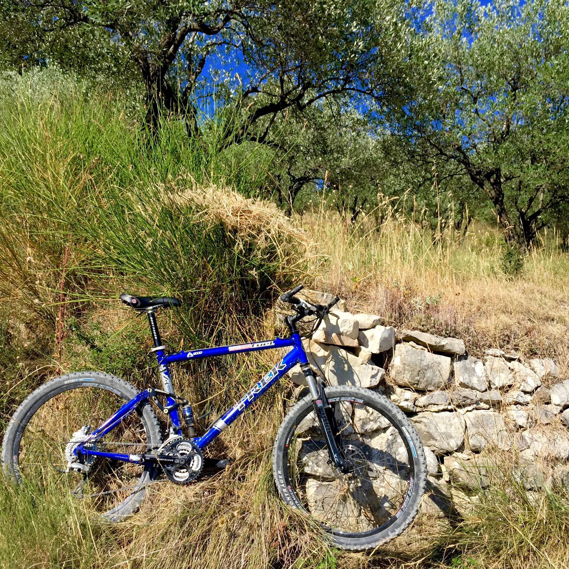 Mountain biking in the Provençal scrubland